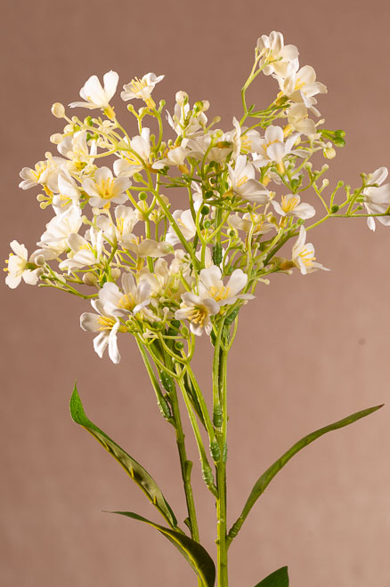 F408-W Daphne Spray 72 cm bílá